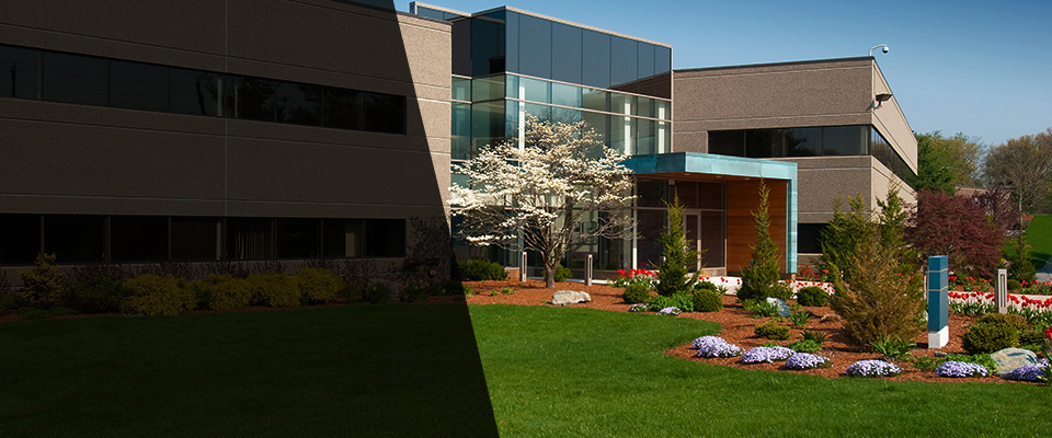 Grover Beach Landscapers