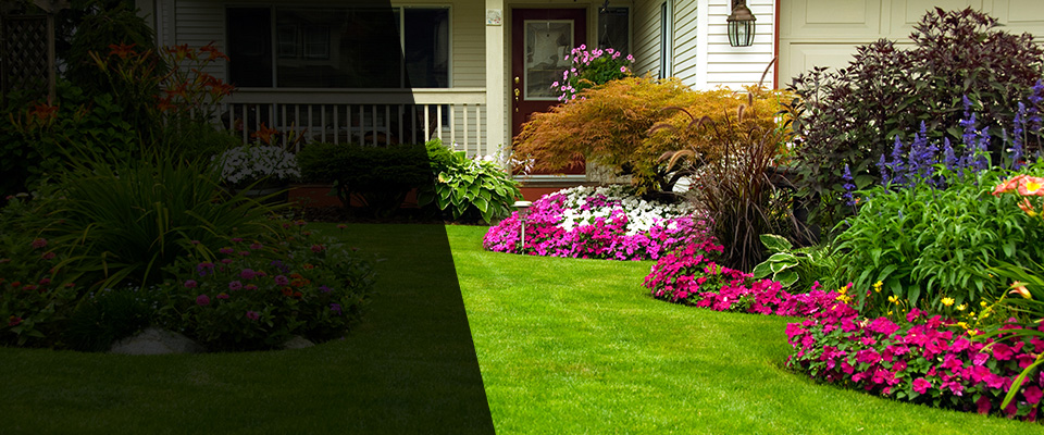 Grover Beach Landscapers