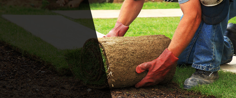 Grover Beach Landscapers